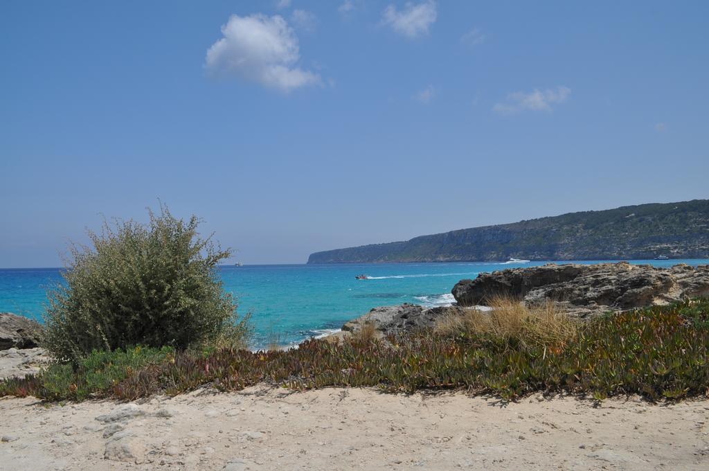 Viviendas Turisticas S'Estanyol Ла Савина Екстериор снимка